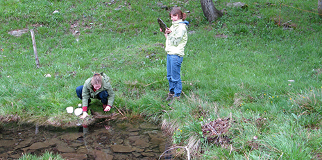 Field course